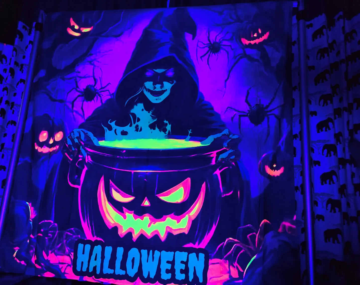 Uv Halloween Witch Glow Tapestry