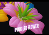 Led Giant inflatable Flower event decor