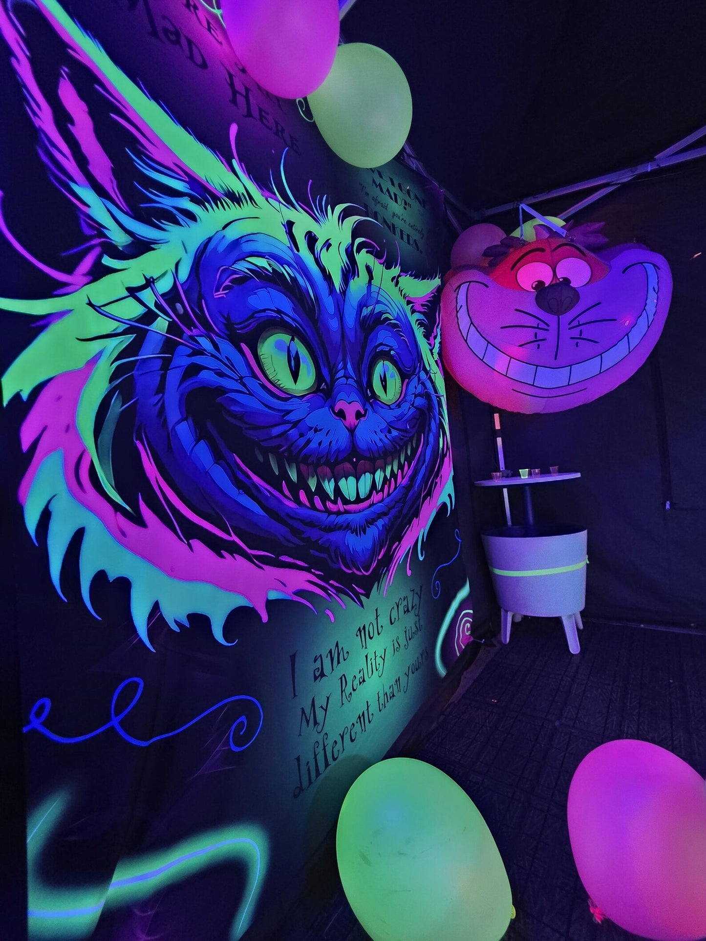 uv Wonderland Cheshire cat stretch neon decor