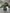Led inflatable 2.5metre Giant green trippy mushroom