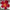 Red LED giant inflatable flower decoration by Lay-z-days Event's™, perfect for event decor and outdoor celebrations.